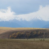 "Вид на Кавказский хребет с перевала Гумбаши (Карачаево-Черкессия)" 